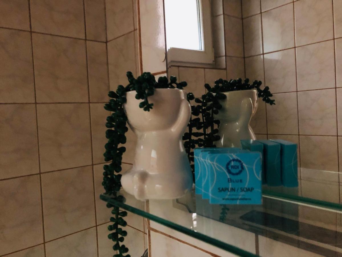 Ana-Maria Home Râmnicu Vâlcea Kültér fotó